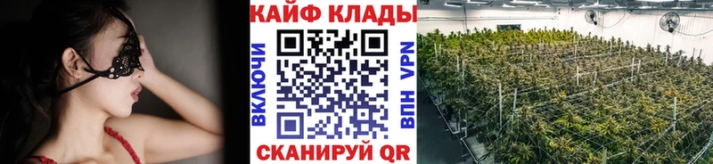 Купить закладку Alpha-PVP  Каннабис  Меф  Гашиш  КОКАИН  Полтавская