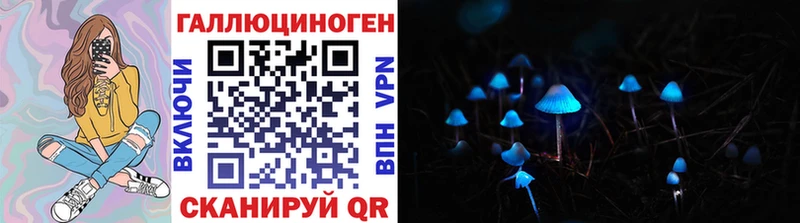 Купить где  Полтавская  Галлюциногенные грибы Magic Shrooms 